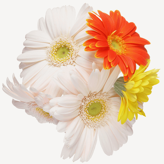 “予防・保存”の観点から治療をご提案します